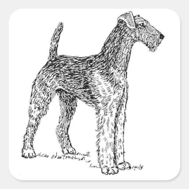 Airedale Terrier Elegante Zeichnend Hund Quadratischer Aufkleber (Vorderseite)