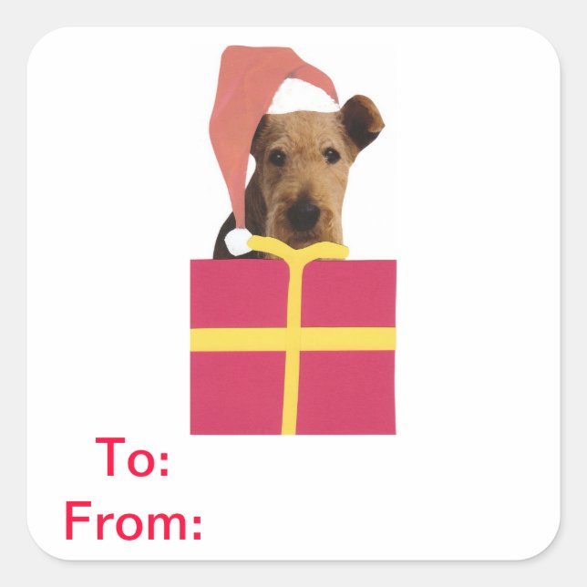 Airedale Terrier Geschenketiketten auf und von Auf Quadratischer Aufkleber (Vorderseite)