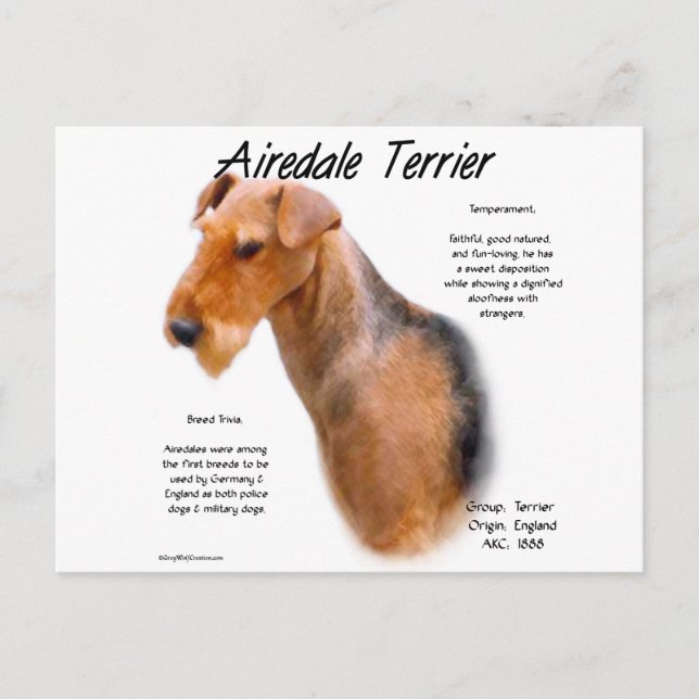 Airedale Terrier Geschichte Postkarte (Vorderseite)