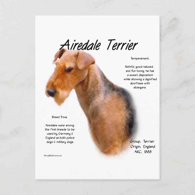 Airedale Terrier Geschichte Postkarte (Vorderseite)