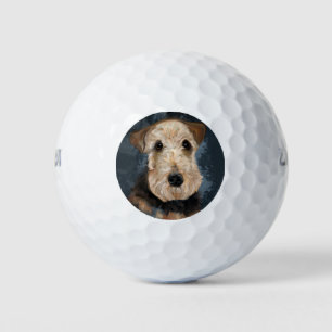 AIREDALE TERRIER        GOLFBALL