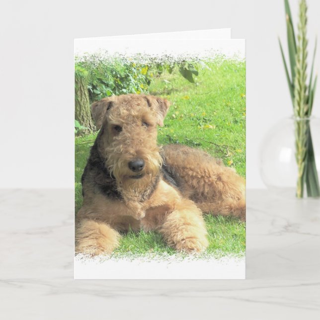 Airedale Terrier Greeting Card Karte (Vorderseite)