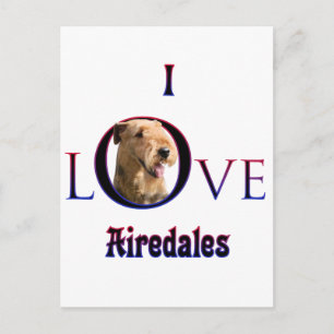 Airedale Terrier I Liebe Postkarte