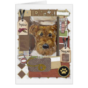 Airedale Terrier Koch