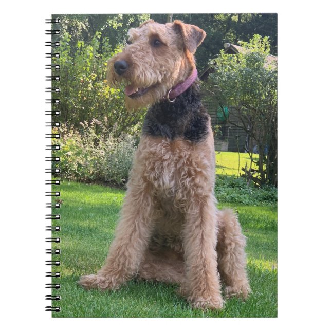 Airedale Terrier Notebook Notizblock (Vorderseite)