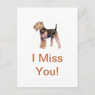 Airedale Terrier Postkarte