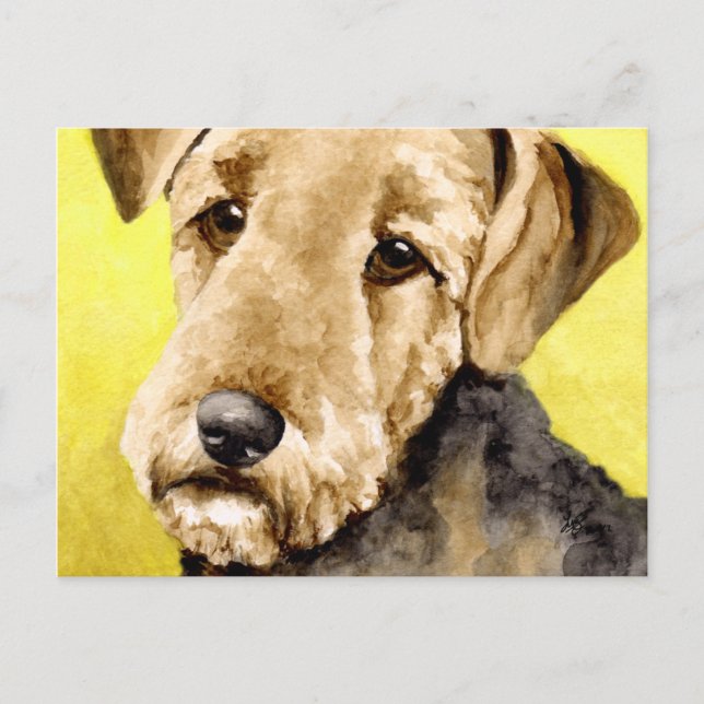 Airedale Terrier Postkarten (Vorderseite)