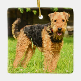 Airedale Terrier Puppy Dog Keramikornament