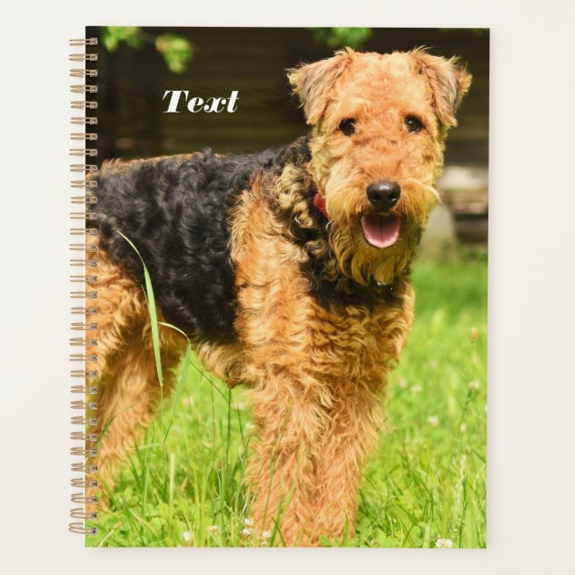 Airedale Terrier Puppy Dog Planer (Vorderseite)