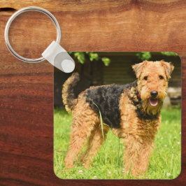 Airedale Terrier Puppy Dog Schlüsselanhänger