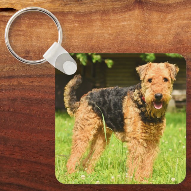 Airedale Terrier Puppy Dog Schlüsselanhänger (Vorderseite)