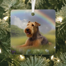 Airedale Terrier Rainbow Bridge Memorial Custom