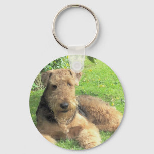 Airedale Terrier Schlüsselanhänger
