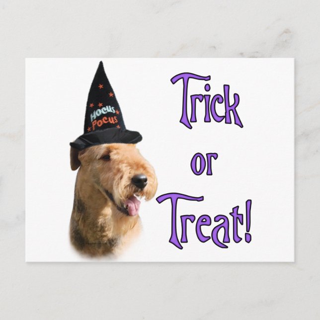 Airedale Terrier Trick Postkarte (Vorderseite)