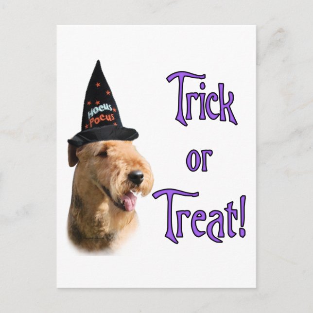 Airedale Terrier Trick Postkarte (Vorderseite)
