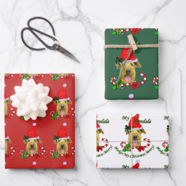Airedale Terrier Weihnachtsmannmütze Weihnachten Geschenkpapier Set