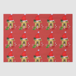 Airedale Terrier Weihnachtsmannmütze Weihnachten Seidenpapier
