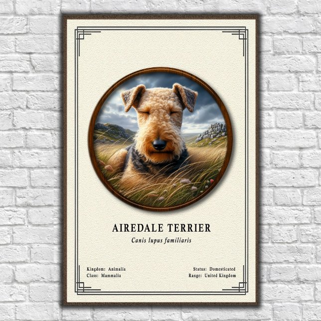 Airedale Terrier Zoology Series Poster (Von Creator hochgeladen)