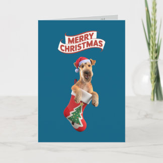 Airedale-Weihnachtsstrumpf Feiertagskarte