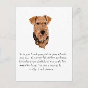 Airedale, Welsh, Lakeland Terrier Andenken Postkarte