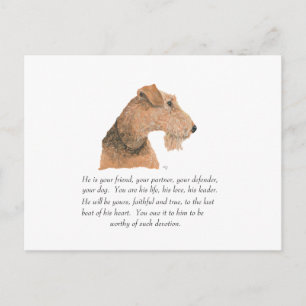 Airedale-, Welsh-, Lakeland Terrier Andenken Postkarte