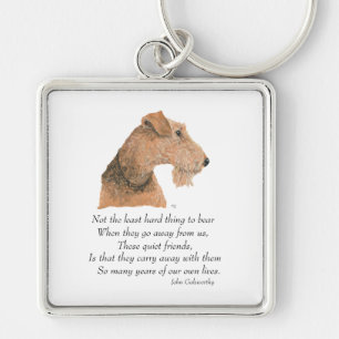Airedale-, Welsh-, Lakeland Terrier Andenken Schlüsselanhänger