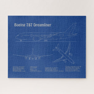 Airliner 787 - Flugzeugkonzept Zeichnend Pläne AD