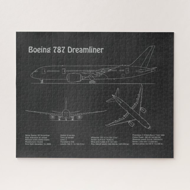 Airliner 787 - Flugzeugkonzept Zeichnend Pläne PD (Horizontal)