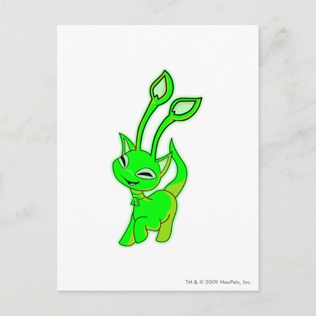Aisha Glows Postkarte (Vorderseite)