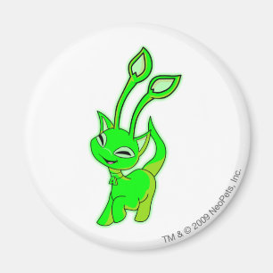 Aisha Glühen Magnet