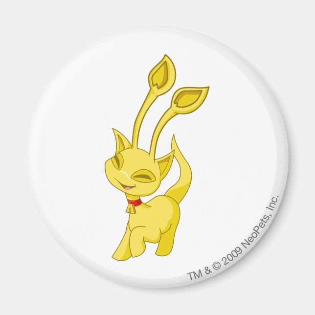 Aisha Gold Magnet (Vorne)