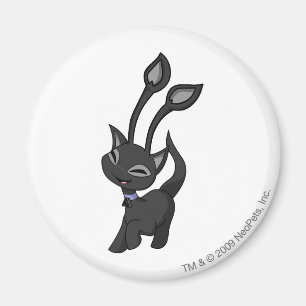 Aisha Schatten Magnet
