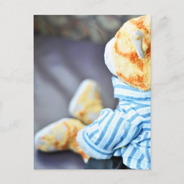 Ajays Teddybär Postkarte (Vorderseite)