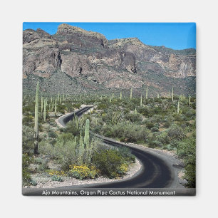 Ajo Berge, Orgelpfeife-Kaktus-nationales Monument Magnet