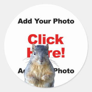 Ajouter un autocollant de photo personnalisé d'un 