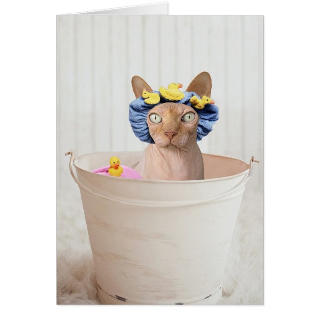 Ajouter Votre Propre Texte : Heure De Bain (Devant)