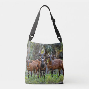 Ajustable Sac de carrosserie transversal Bongo