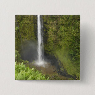 Akaka-Fälle, Hamakua-Küste, Insel Hawaii, Button