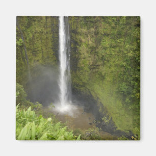 Akaka-Fälle, Hamakua-Küste, Insel Hawaii, Magnet