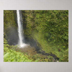 Akaka-Fälle, Hamakua-Küste, Insel Hawaii, Poster