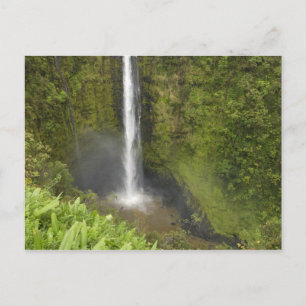 Akaka-Fälle, Hamakua-Küste, Insel Hawaii, Postkarte