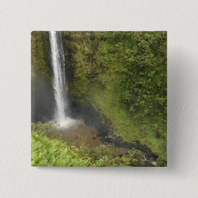 Akaka Falls, Hamakua Coast, Insel Hawaii, Button (Vorderseite)