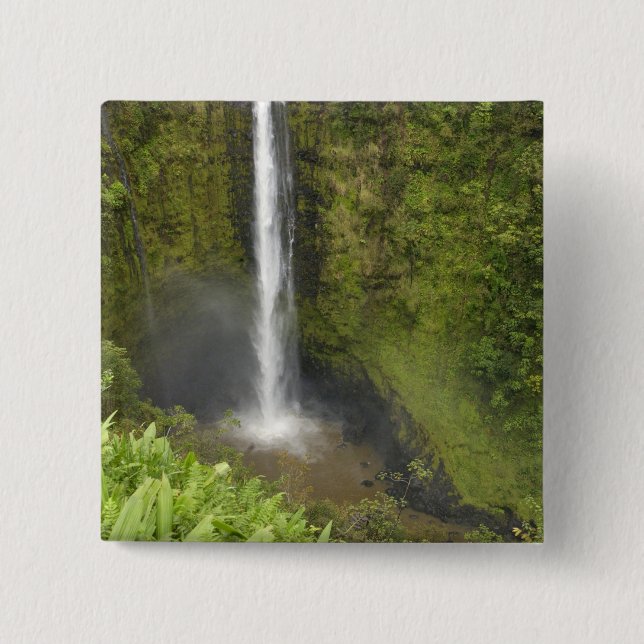 Akaka Falls, Hamakua Coast, Insel Hawaii, Button (Vorderseite)