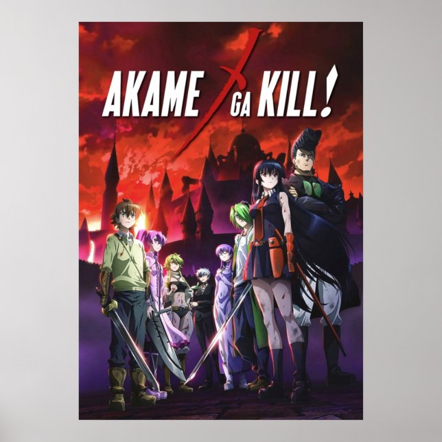 Akame Ga Kill Anime Poster (Vorne)