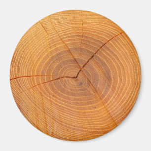 Akazien-Baum-großer runder Querschnittsmagnet Magnet