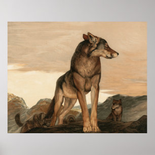 Akela The Lone Wolf von Maurice und Edward Detmold Poster