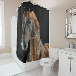 Akhal-Teke Horse Duschvorhang