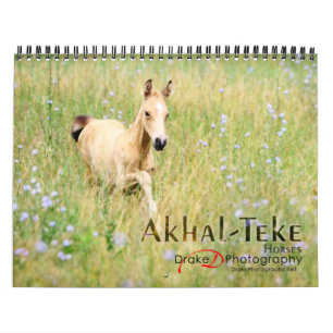 Akhal-Teke-Pferde 2 Kalender