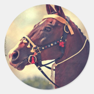 Akhal Teke Runder Aufkleber
