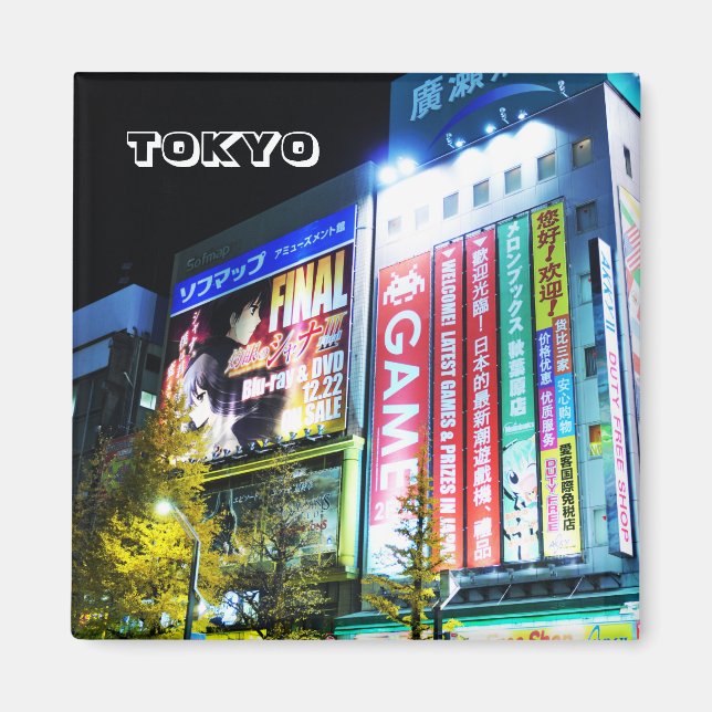 Akihabara (Electric City) in Tokio, Japan Magnet (Vorne)